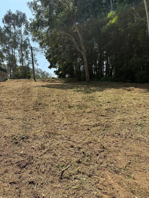 Terreno para Venda em Anta e Guetim