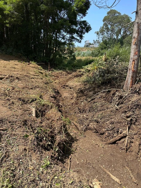 Terreno para Venda em Anta e Guetim