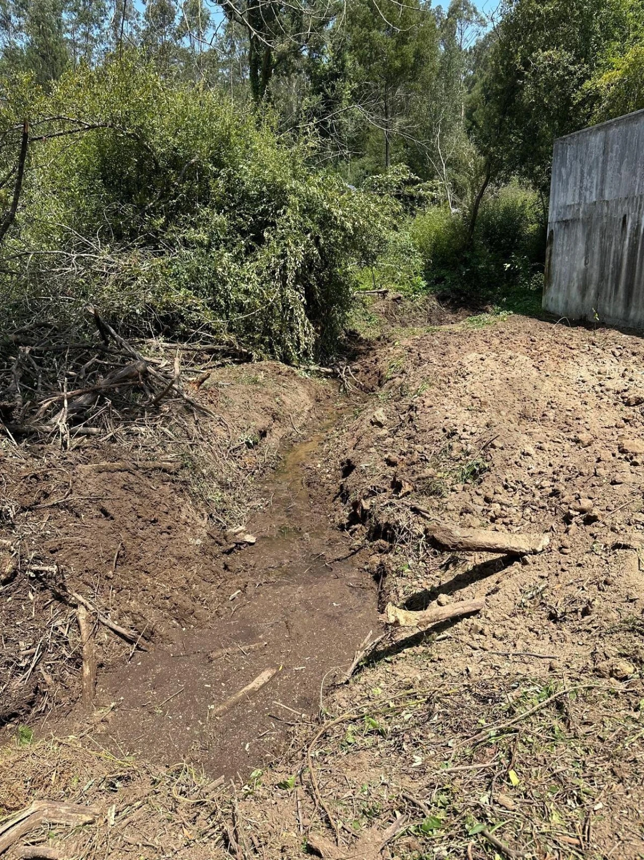 Terreno para Venda em Anta e Guetim Foto 28