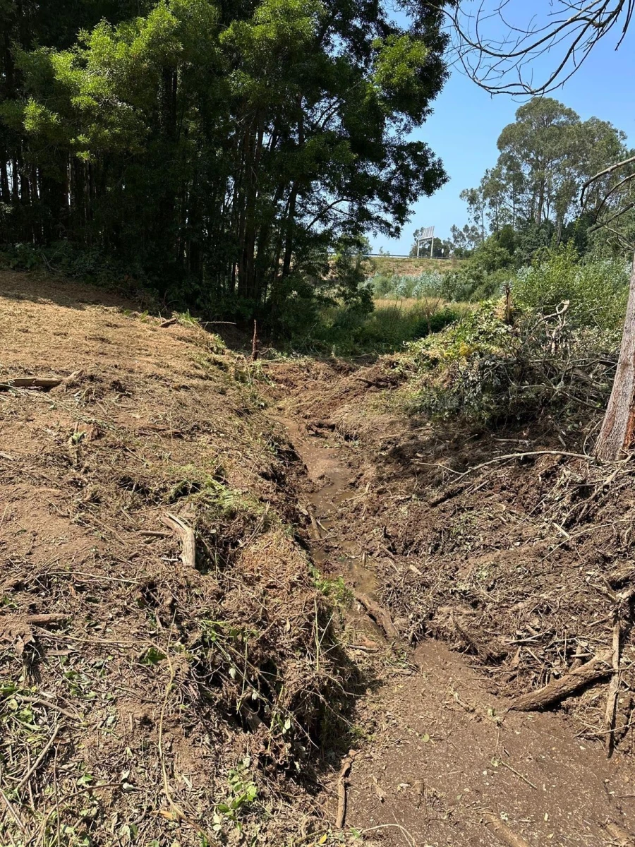 Terreno para Venda em Anta e Guetim Foto 25