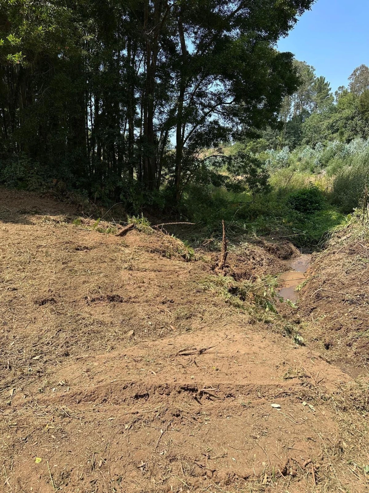 Terreno para Venda em Anta e Guetim Foto 23