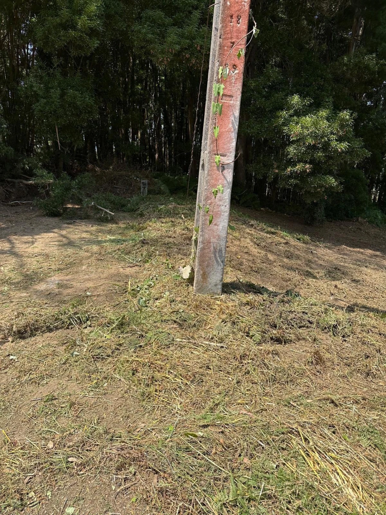 Terreno para Venda em Anta e Guetim Foto 29