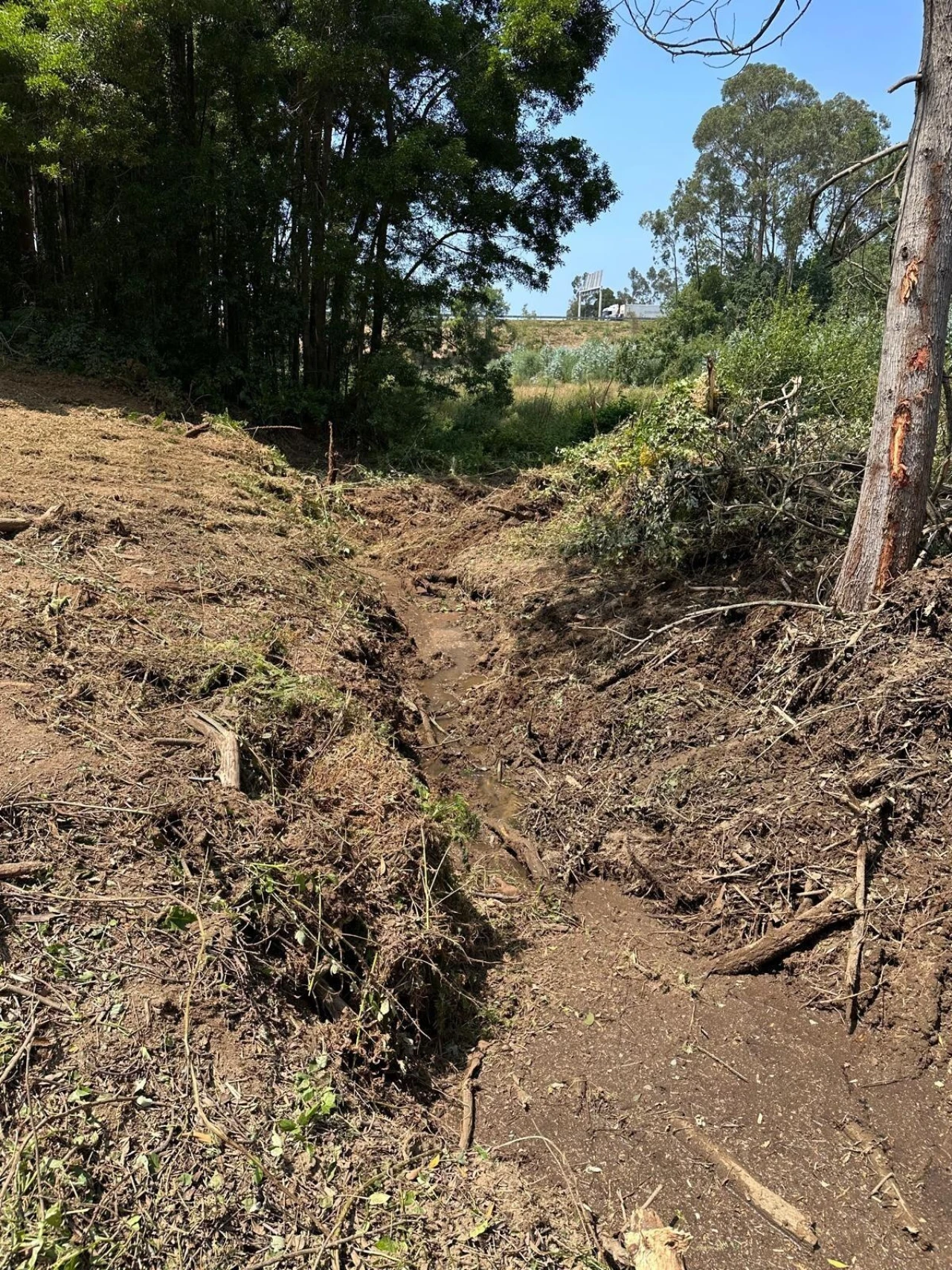 Terreno para Venda em Anta e Guetim Foto 26