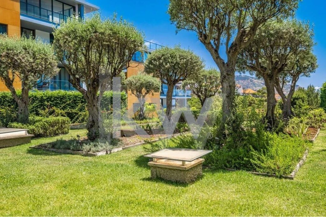 Apartamento T3 para Venda em Funchal (São Pedro) Foto 57