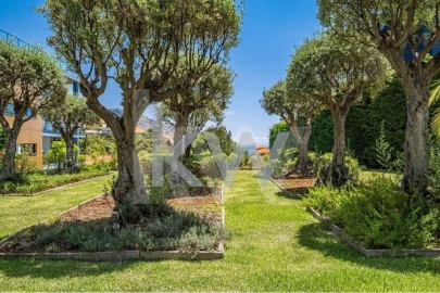 Apartamento T3 para Venda em Funchal (São Pedro)