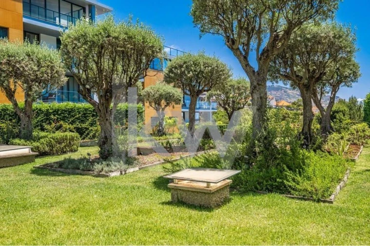 Apartamento T3 para Venda em Funchal (São Pedro) Foto 57