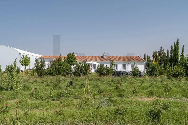 Quinta T4 para Venda em São Sebastião da Giesteira e Nossa Senhora da Boa Fé Foto 40