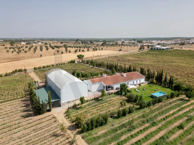 Quinta T4 para Venda em São Sebastião da Giesteira e Nossa Senhora da Boa Fé Foto 46