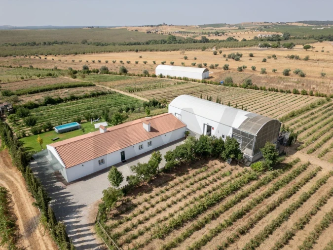 Quinta T4 para Venda em São Sebastião da Giesteira e Nossa Senhora da Boa Fé Foto 1