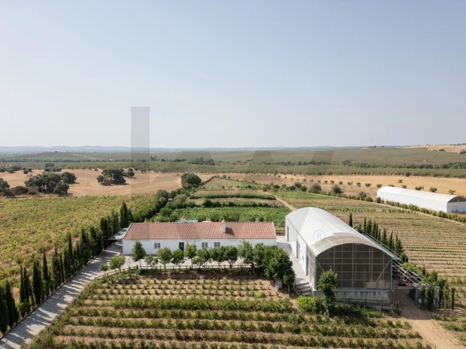 Quinta T4 para Venda em São Sebastião da Giesteira e Nossa Senhora da Boa Fé Foto 50