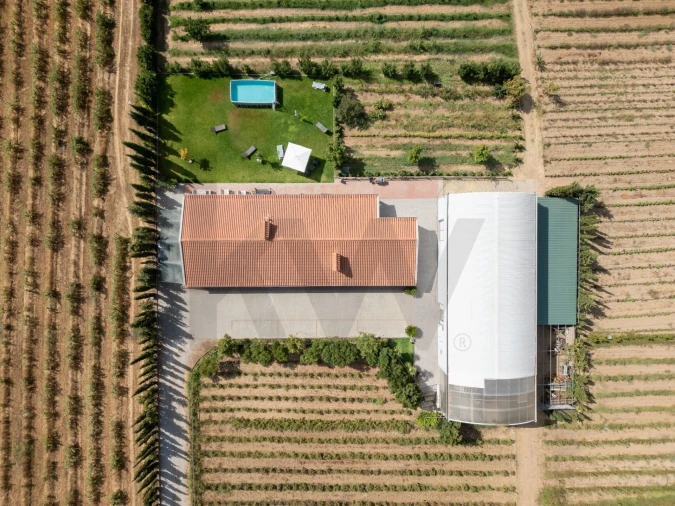 Quinta T4 para Venda em São Sebastião da Giesteira e Nossa Senhora da Boa Fé Foto 47