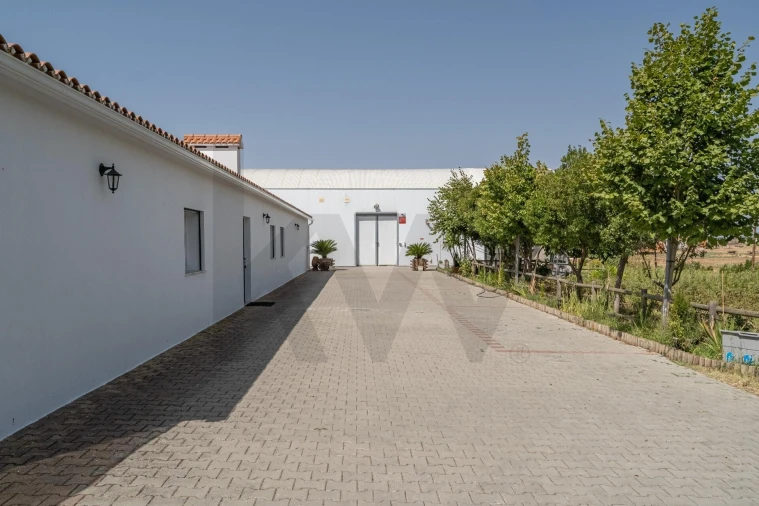 Quinta T4 para Venda em São Sebastião da Giesteira e Nossa Senhora da Boa Fé Foto 6