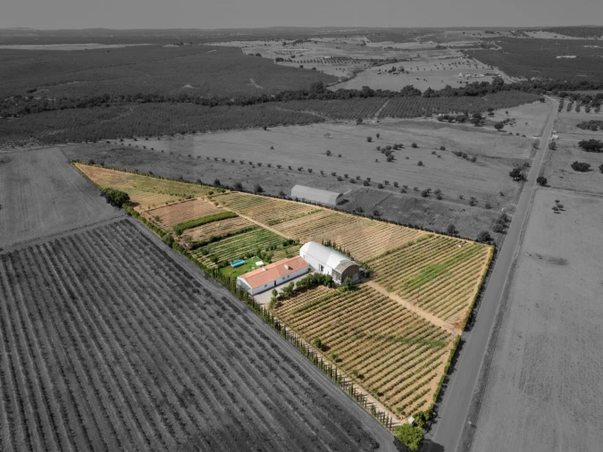 Quinta T4 para Venda em São Sebastião da Giesteira e Nossa Senhora da Boa Fé Foto 3