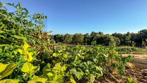 Moradia T4 para Venda em Fernao Ferro
