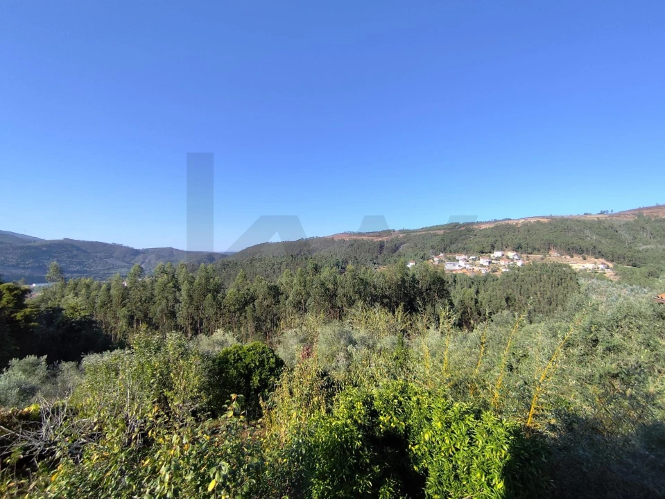 Moradia T2 para Venda em Penacova Foto 10