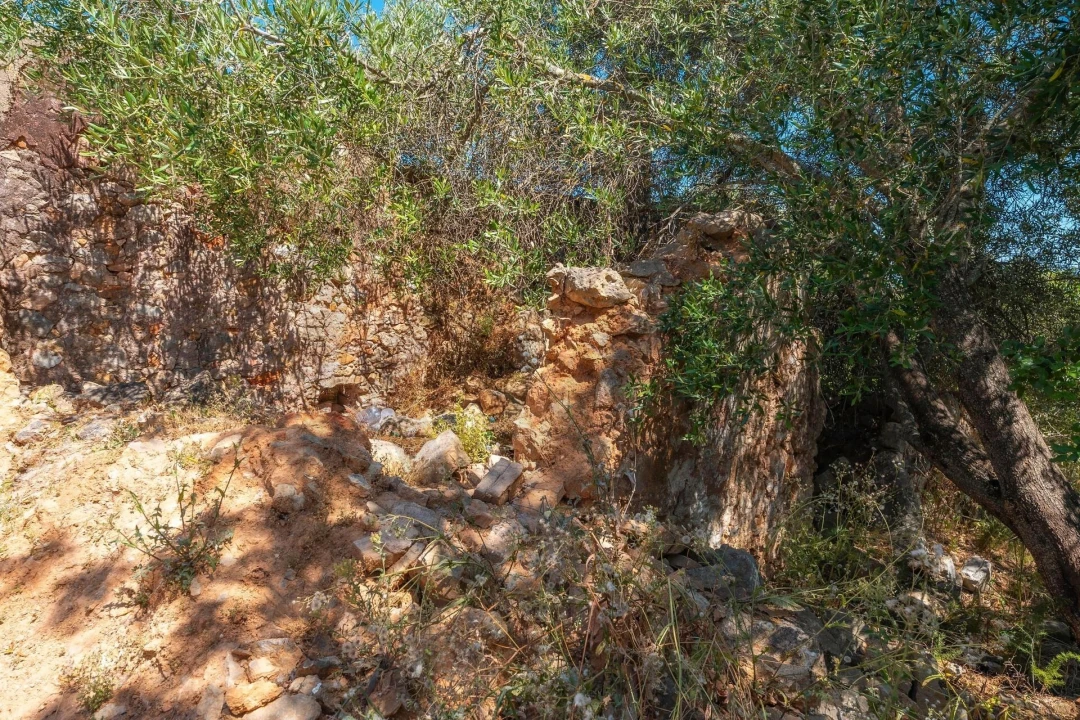 Moradia T2 para Venda em Santa Catarina da Fonte do Bispo Foto 9