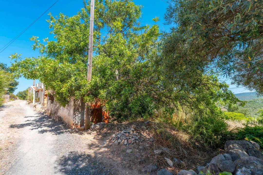 Moradia T2 para Venda em Santa Catarina da Fonte do Bispo Foto 25