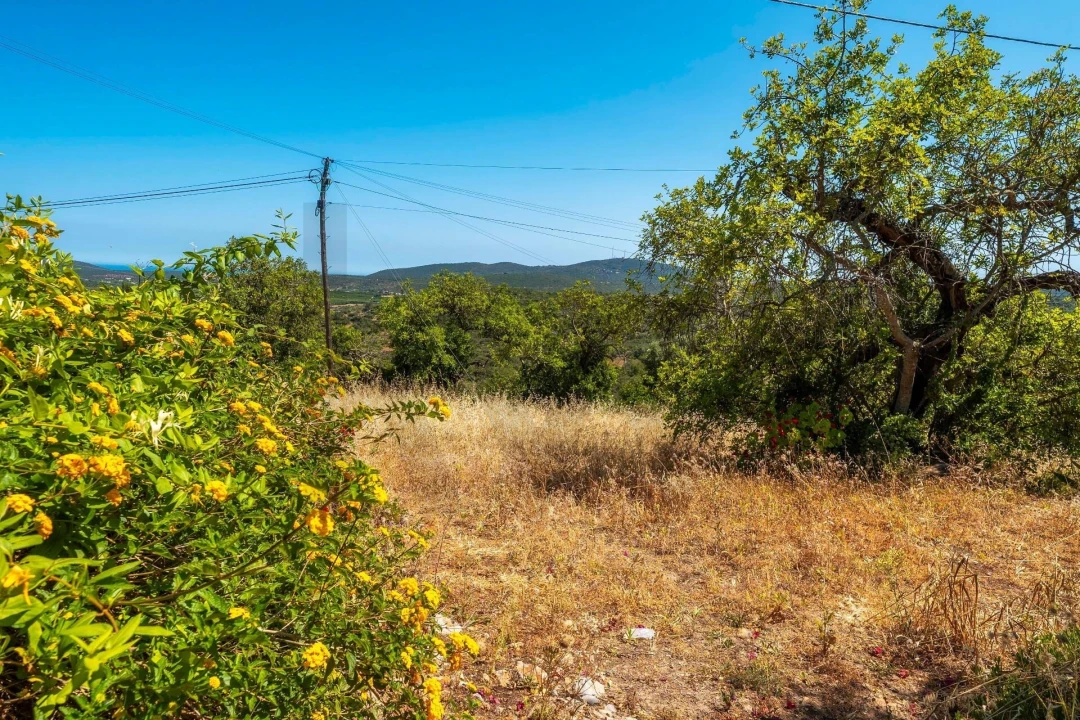 Moradia T2 para Venda em Santa Catarina da Fonte do Bispo Foto 14