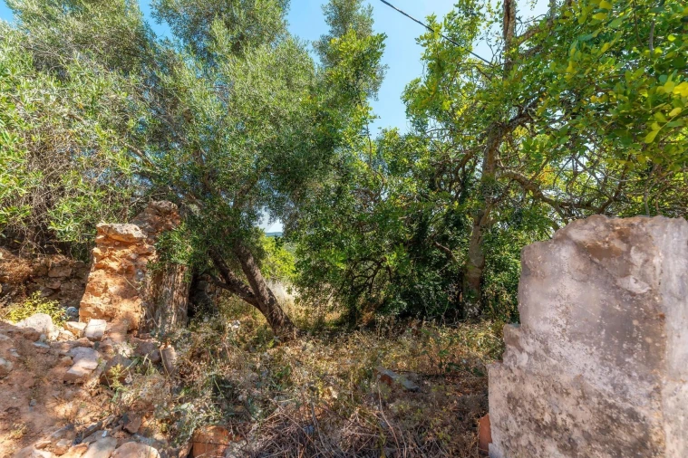 Moradia T2 para Venda em Santa Catarina da Fonte do Bispo Foto 8