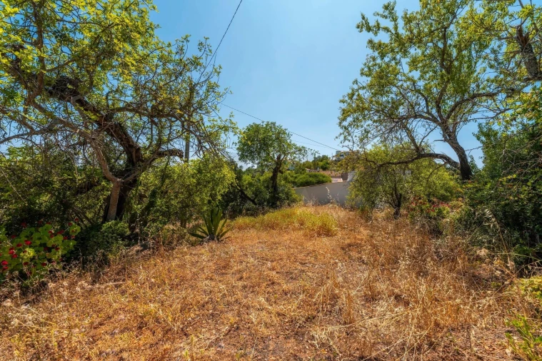 Moradia T2 para Venda em Santa Catarina da Fonte do Bispo Foto 11