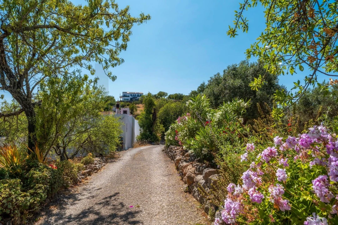 Moradia T2 para Venda em Santa Catarina da Fonte do Bispo Foto 5