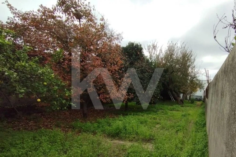 Moradia T4 para Venda em Carregueira Foto 28