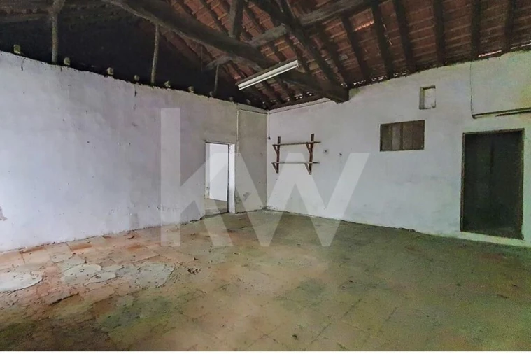 Moradia T4 para Venda em Carregueira Foto 24