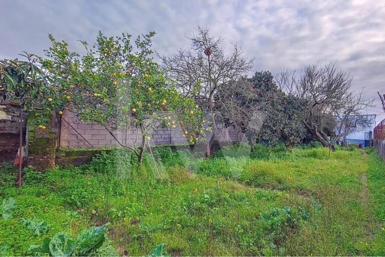 Moradia T4 para Venda em Carregueira Foto 29