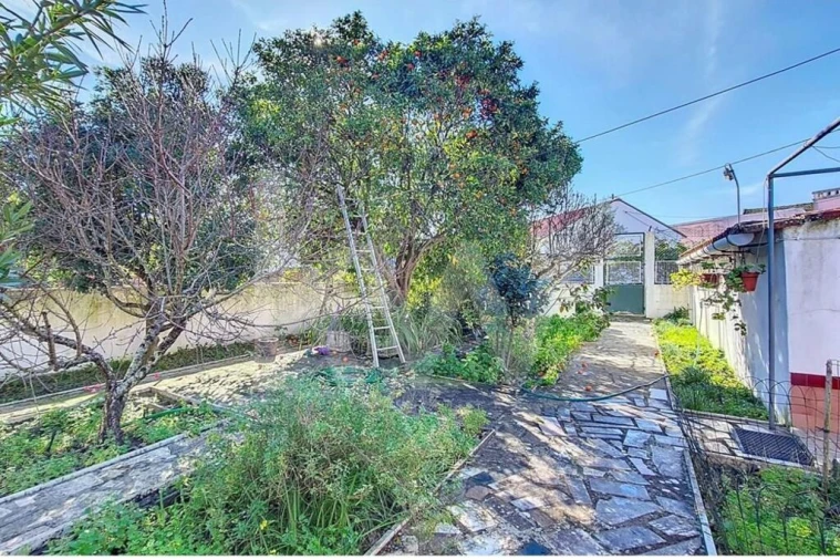 Moradia T4 para Venda em Carregueira Foto 18