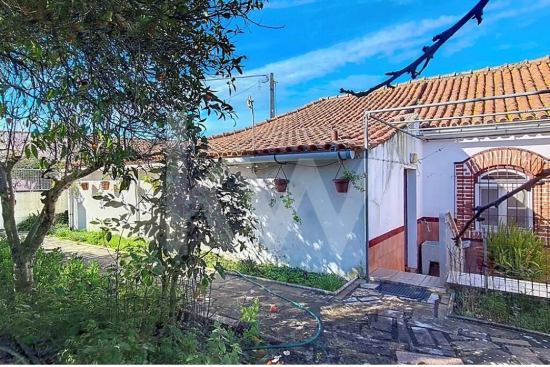 Moradia T4 para Venda em Carregueira Foto 17