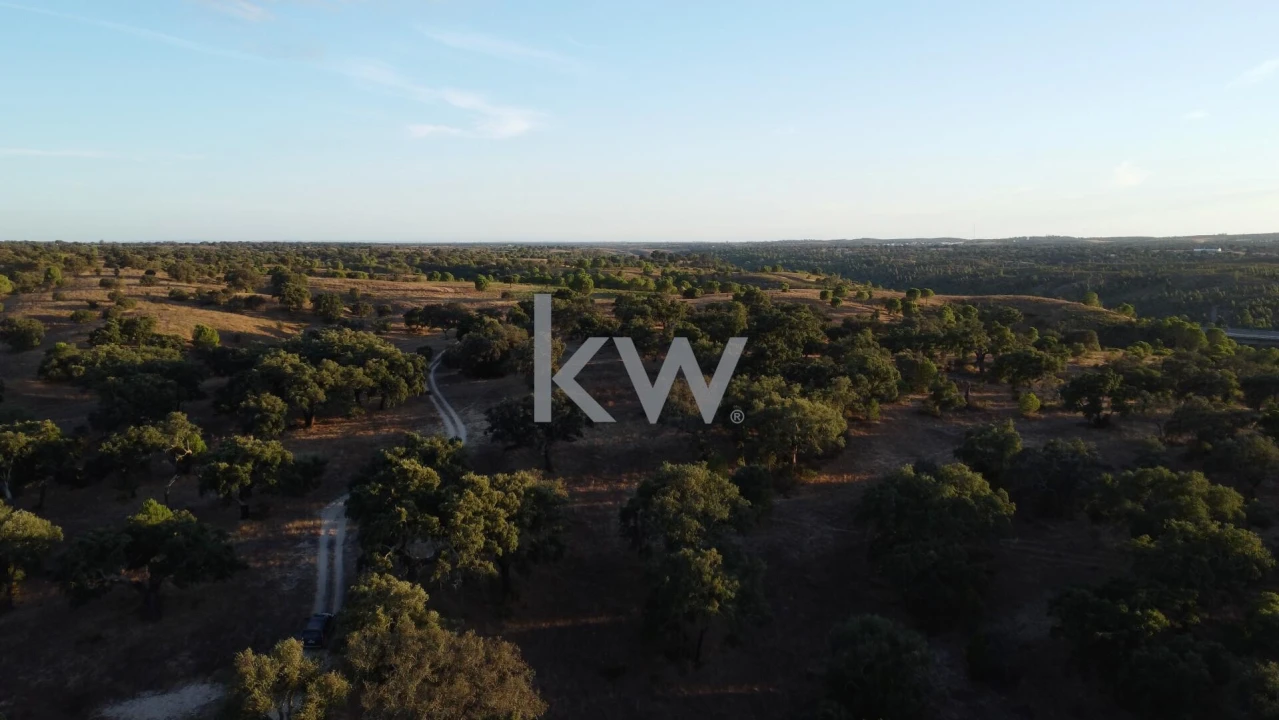 Terreno para Venda em Figueira dos Cavaleiros Foto 4