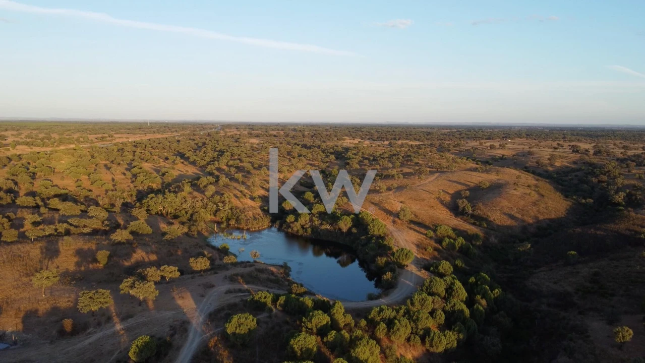 Terreno para Venda em Figueira dos Cavaleiros Foto 6