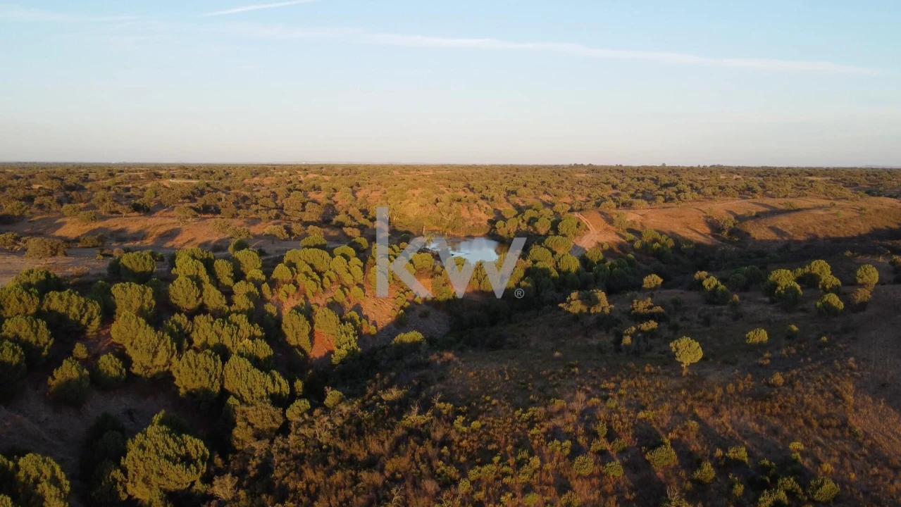 Terreno para Venda em Figueira dos Cavaleiros Foto 9