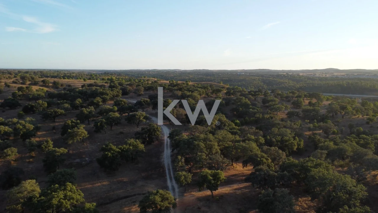 Terreno para Venda em Figueira dos Cavaleiros Foto 1
