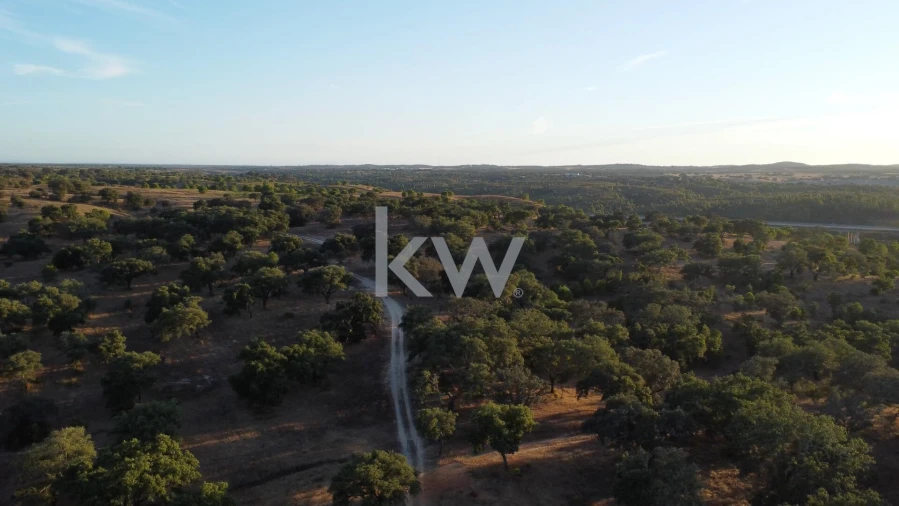 Terreno para Venda em Figueira dos Cavaleiros