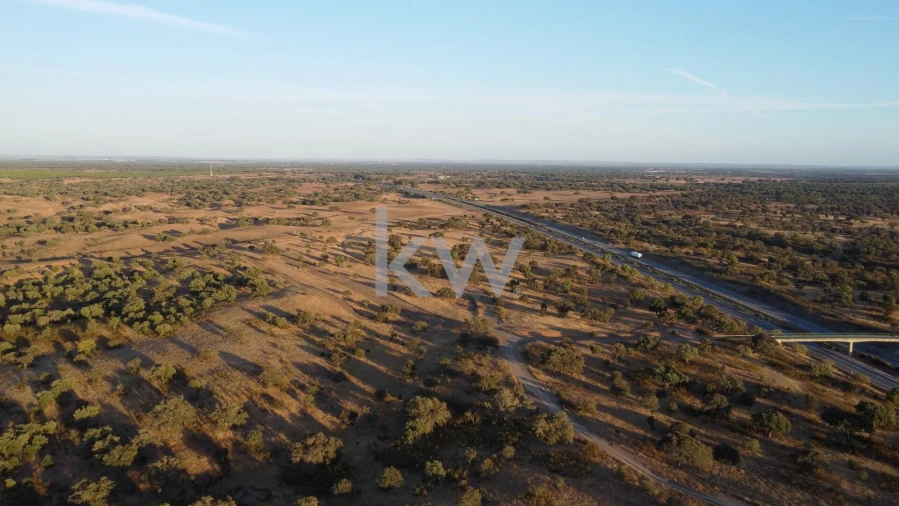 Terreno para Venda em Figueira dos Cavaleiros Foto 5