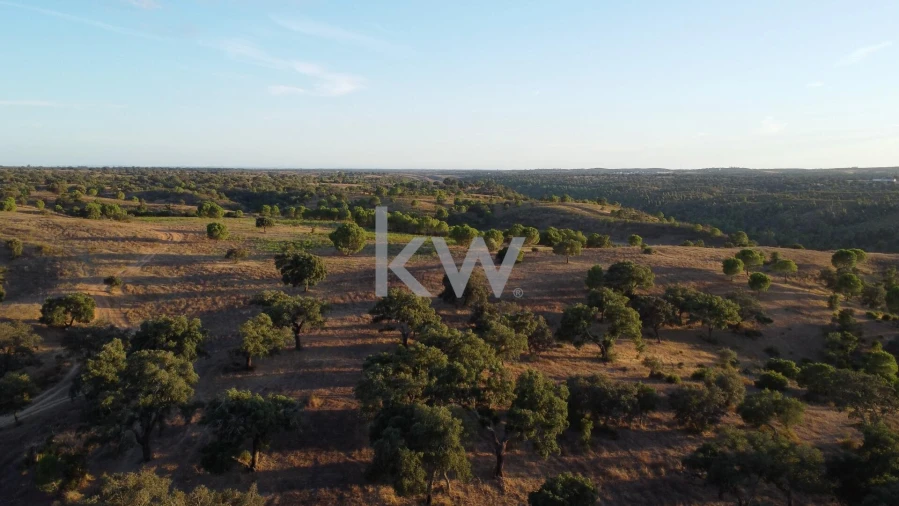 Terreno para Venda em Figueira dos Cavaleiros Foto 3