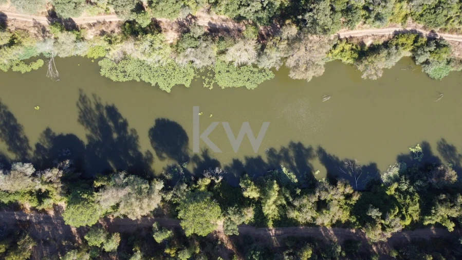 Terreno para Venda em Figueira dos Cavaleiros Foto 18