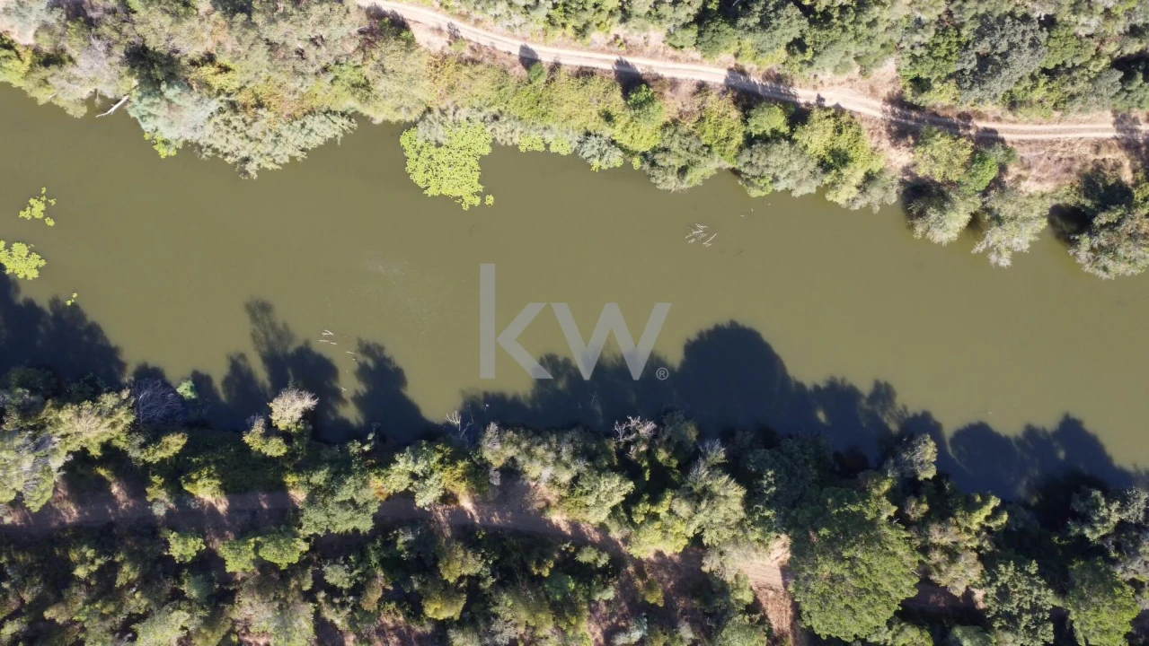 Terreno para Venda em Figueira dos Cavaleiros Foto 17