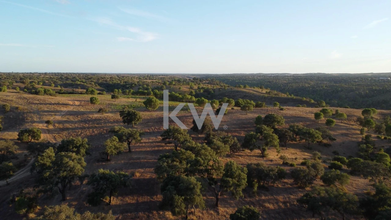 Terreno para Venda em Figueira dos Cavaleiros Foto 3