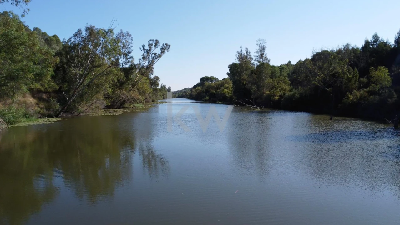 Terreno para Venda em Figueira dos Cavaleiros Foto 19