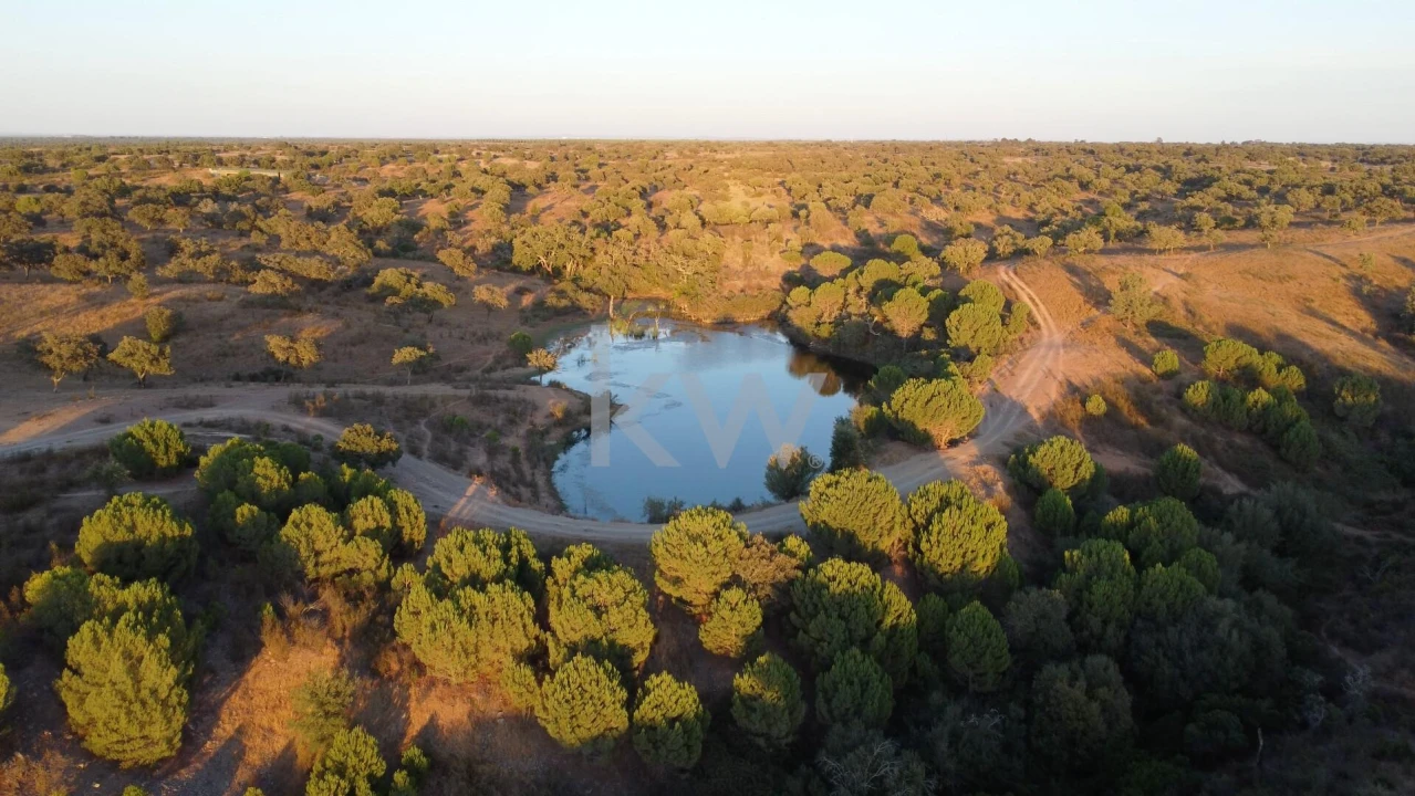Terreno para Venda em Figueira dos Cavaleiros Foto 8