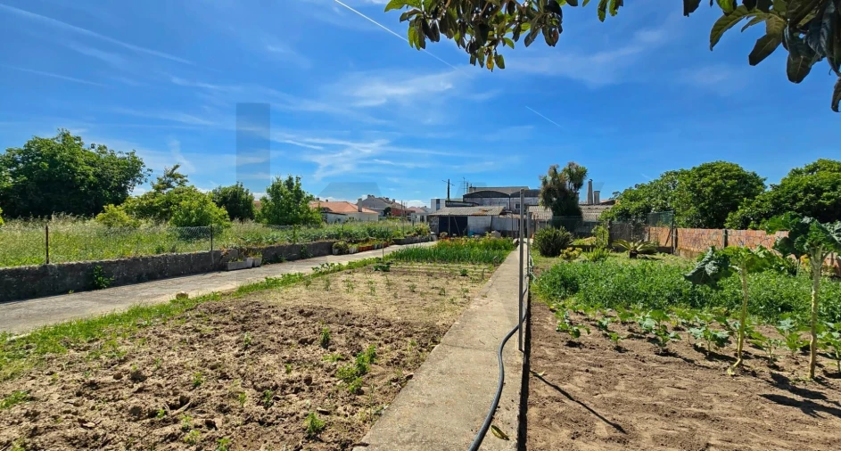 Moradia T5 para Venda em Aradas Foto 16