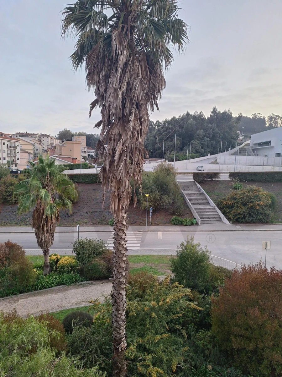 Apartamento T3 para Arrendamento em Oliveira do Douro Foto 6