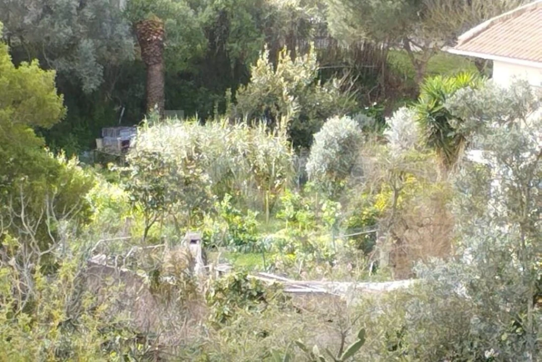 Terreno para Venda em Cascais e Estoril Foto 26