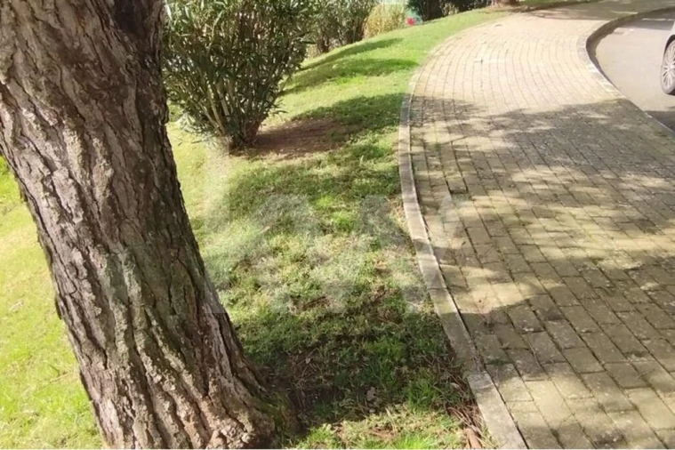 Terreno para Venda em Cascais e Estoril Foto 4