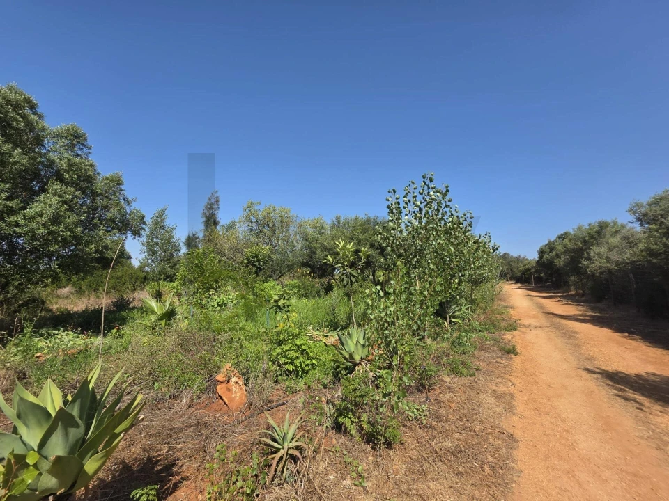 Terreno para Venda em Bensafrim e Barão de São João Foto 23