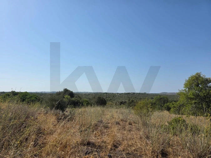 Terreno para Venda em Bensafrim e Barão de São João Foto 61
