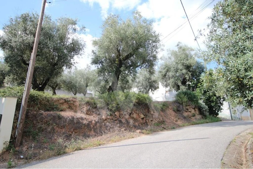 Terreno para Venda em Brasfemes Foto 7