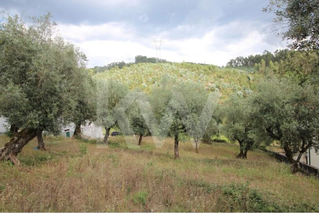 Terreno para Venda em Brasfemes Foto 5